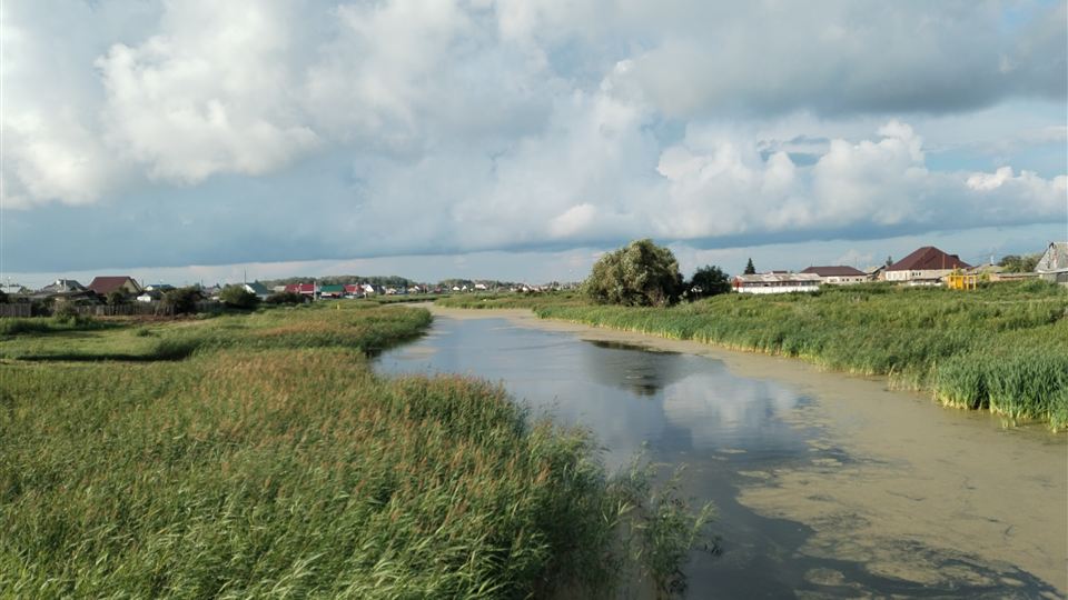 Река Саргатка в поселке Саргатское: берега, заросшие камышом, дома на горизонте